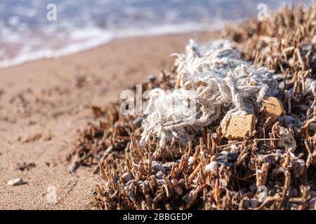 Una rete di pesca aggrovigliata ha scaricato a riva il Mar Baltico dopo una tempesta. Inquinamento ambientale Foto Stock