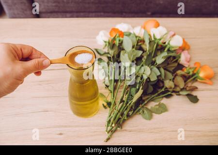 Persona che aggiunge alimento bianco del fiore polvere all'interno vaso del fiore tagliato in modo da i fiori tagliati durano più lungamente freschi. Foto Stock