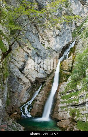 Cascata Savica, vicino al lago di Bohinj, Slovenia Foto Stock