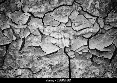 Asciutto e rotto nel campo della natura, dell'agricoltura Foto Stock