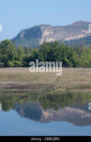 India, Madhya Pradesh, Parco Nazionale di Bandhavgarh. Parco habitat nella zona 2 con vista montagna stagno riflessioni. Foto Stock