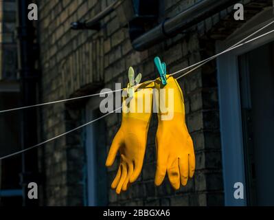 Un paio di guanti di gomma di protezione marigold gialli agganciati su una linea di abbigliamento Foto Stock