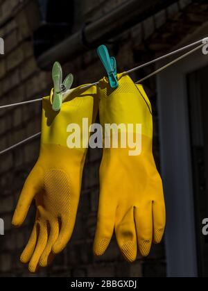 Un paio di guanti di gomma di protezione marigold gialli agganciati su una linea di abbigliamento Foto Stock