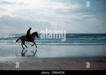 Silhouette di un uomo a cavallo contro la luce del sole su una spiaggia Foto Stock