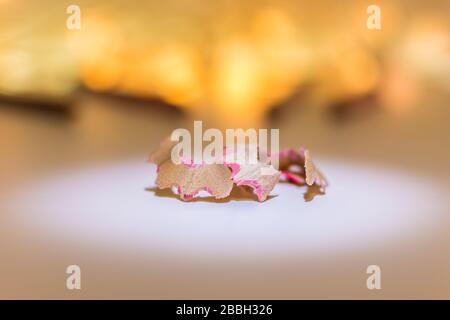 Rasatura di matite di colore rosa Foto Stock