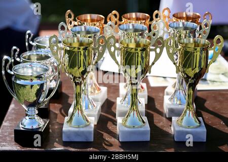 Coppe d'oro per i vincitori dello sport equestre come sfondo evento cavallo Foto Stock