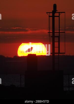 Queenborough, Kent, Regno Unito. 31st Mar, 2020. Meteo Regno Unito: Tramonto a Queenborough, Kent. Credito: James Bell/Alamy Live News Foto Stock