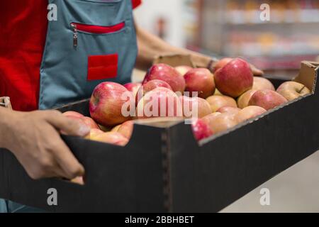 Coltivatore con mele appena raccolte in scatola di cartone. Agricoltura e concetto di giardinaggio. Foto Stock