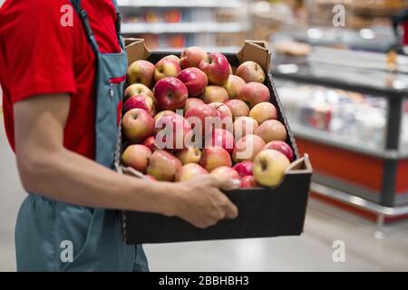 Coltivatore con mele appena raccolte in scatola di cartone. Agricoltura e concetto di giardinaggio. Foto Stock