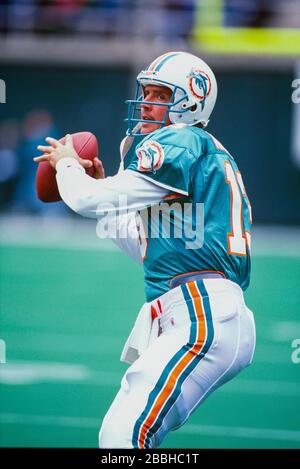 DaN Marino 0f i delfini di Miami Foto Stock