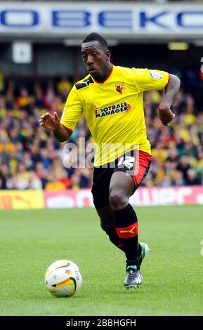 Watford's Lloyd Doyley durante la partita del campionato della npower Football League a Vicarage Road. Foto Stock