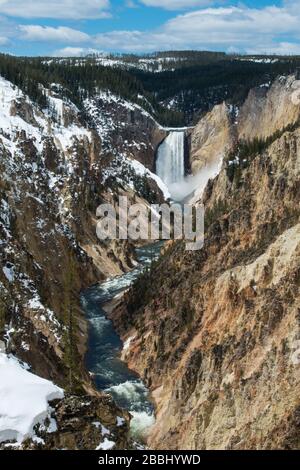 Le cascate inferiori del fiume Yellowstone nella zona sono note come "il Grand Canyon di Yellowstone" nel Parco Nazionale di Yellowstone Foto Stock