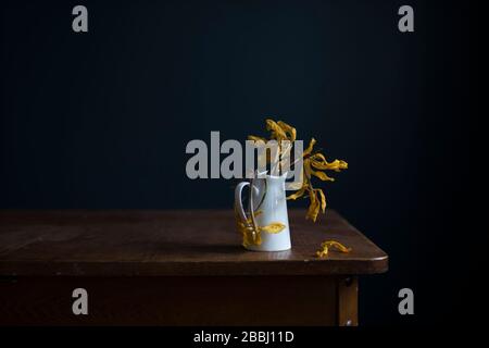 Tulipani gialli appassiti in una brocca bianca su un tavolo di legno di fronte a una parete blu scuro. Spazio di copia Foto Stock