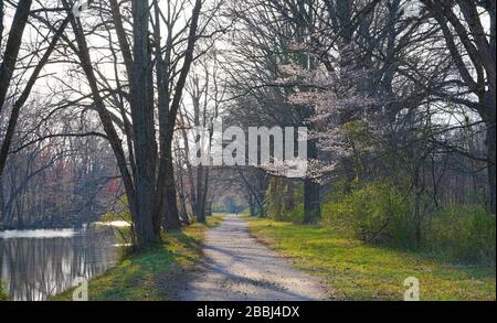 L'alzaia lungo il canale Delaware-Raritan a Princeton, New Jersey Foto Stock