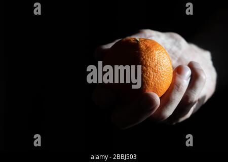 Tangerini in una mano su un backgroundMandarin scuro in una mano dell'uomo su uno sfondo scuro. Ombre profonde e nitide dalla luce brillante Foto Stock