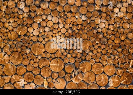Vista della sezione di legno tagliata di fine con crepe e anelli annuali. Struttura organica naturale con superficie fessurata e ruvida. Albero tagliato rotondo. Chiudi Foto Stock