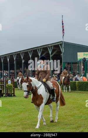 Mostra jumper al Great Yorkshire Show Foto Stock