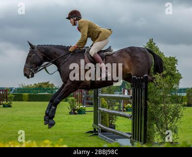 Mostra un ponticello su un cavallo che salta una recinzione al Great Yorkshire Show Foto Stock