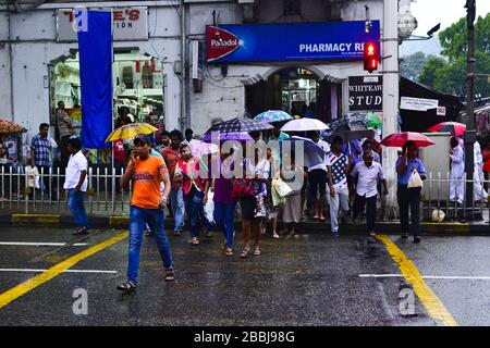 Kandy, Sri Lanka - aprile 2017: Persone che attraversano un pedone nel centro della città. Strada affollata nel quartiere centrale. Folla di persone con ombrello duri Foto Stock