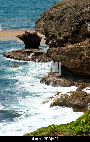 Tratto costiero del Grand Sentier escursione intorno alla Penisola di Caravelle, Caravelle, Martinica, Lesser Antille, Antille Occidentali francesi, Caraibi Foto Stock