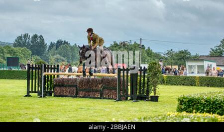 Mostra un ponticello su un cavallo che salta una recinzione al Great Yorkshire Show Foto Stock