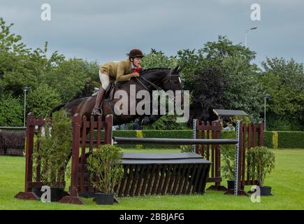 Showjumper sul cavallo che salta una recinzione al Great Yorkshire Show di Harrogate Foto Stock