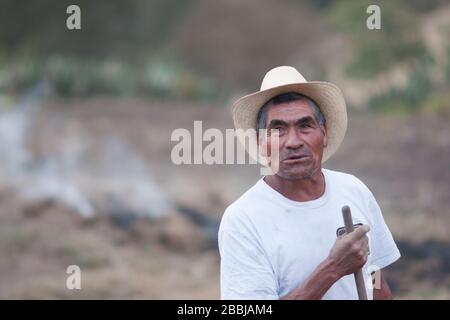 A è coltivatore che brucia campi per preparare terreno per piantare patate, Benito Juarez, Sierra Norte, Oaxaca, Messico Foto Stock