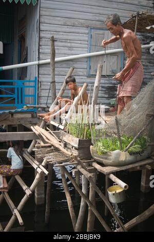 Vita sul lago Tonle, Cambogia Foto Stock