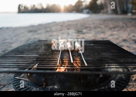 Hot dog che cucinano sul fuoco in spiaggia in Svezia Foto Stock