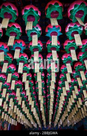 Foto d'archivio delle Lanterne in onore del compleanno di Buddha al tempio, Seou Foto Stock