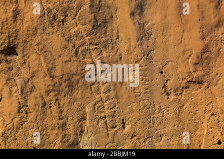 Petroglyphs stilizzato scolpito dai popoli ancestrali del Pueblo, lungo il percorso Petroglyph nel Chaco Culture National Historical Park, New Mexico, USA Foto Stock