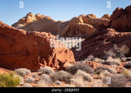 Una scena dal Valley of Fires State Park fuori Las Vegas. Foto Stock