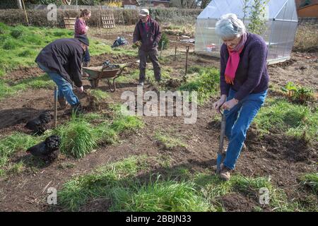 Lavorando su una nuova assegnazione per sviluppare il loro proprio alimento e rimanere sano Foto Stock