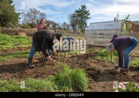 Lavorando su una nuova assegnazione per sviluppare il loro proprio alimento e rimanere sano Foto Stock