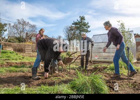 Lavorando su una nuova assegnazione per sviluppare il loro proprio alimento e rimanere sano Foto Stock