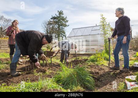 Lavorando su una nuova assegnazione per sviluppare il loro proprio alimento e rimanere sano Foto Stock