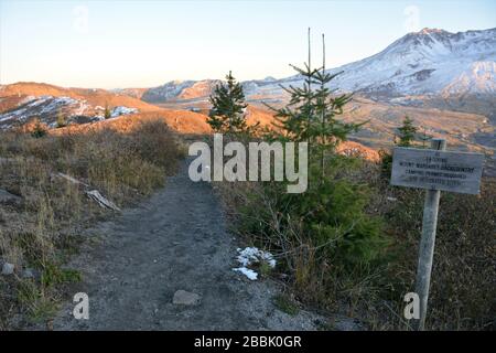 Escursioni a piedi nella regione del Monte Margaret lungo l'Harry's Ridge Trail, il Mt St Helens National Volcanic Monument, Washington state, USA. Foto Stock