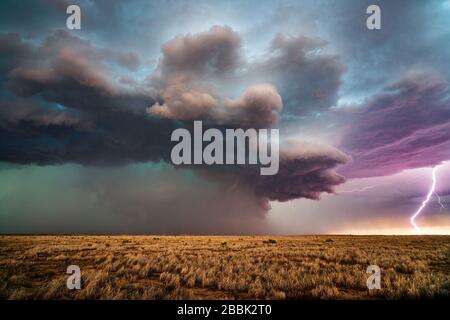 Il fulmine colpisce in una tempesta di sovrocelle con nubi drammatiche vicino Roswell, New Mexico Foto Stock