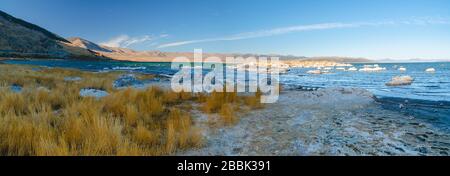 Mono Lake, un lago di soda salina nella contea di Mono, California. Vista panoramica Foto Stock