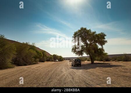 Bordo del viaggio del mondo - Riyadh, Arabia Saudita. Fatto clic su 8th novembre 2019. Trasporta le auto che viaggiano a Edge of the World Riyadh Arabia Saudita. Foto Stock