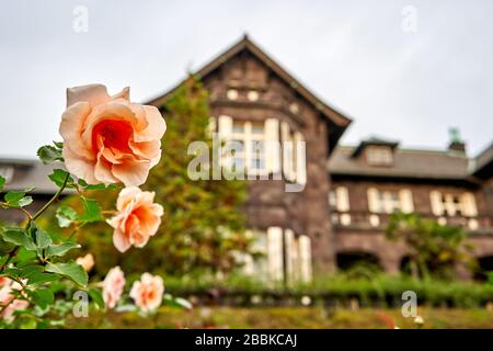 Casa con un bel giardino di rose di fronte Foto Stock