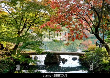 Ponte di pietra sul lago in stile giapponese giardino Foto Stock