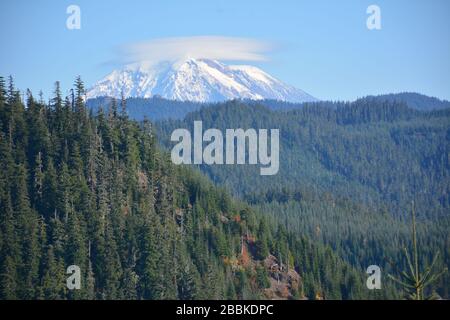 Il lato ovest di Mount Adams visto in ottobre dalla Forest Highway (NF-99) vicino a Windy Ridge, Mt St Helens National Monument, Washington state, USA. Foto Stock