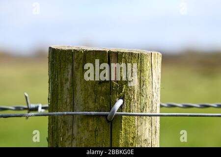 Filo spinato intorno ad una recinzione di legno Foto Stock