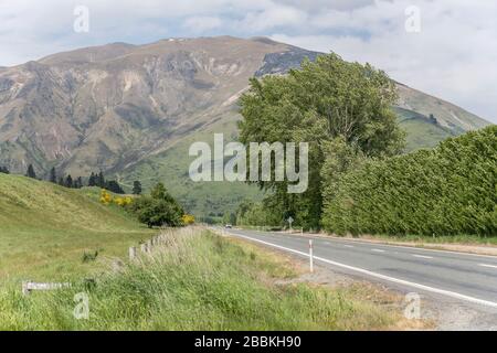 Paesaggio con strada 6 e alto scudo di vento vegetale nella campagna verde, fucilato in luminosa luce primaverile vicino a Nokomai, Southland, South Island, New Zealan Foto Stock