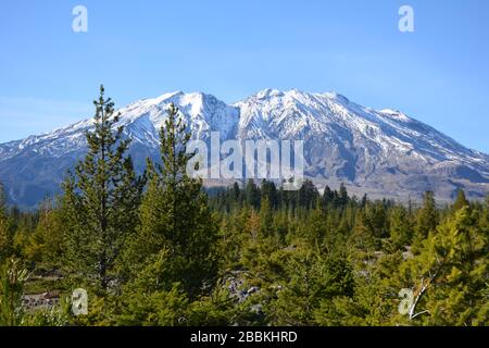 Vista delle vette innevate e del lato sud del Monte St Helens attraverso la Gifford Pinchot National Forest, Washington state, USA Foto Stock