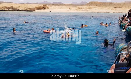 Egitto, Sharm El Sheikh - 20 settembre 2019: Un gruppo di turisti che si tuffano con una maschera e snorkeling guardano i bellissimi e colorati pesci di mare e. Foto Stock