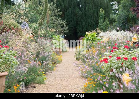 Giardino di campagna inglese, ben stabilito confine erbaceo. Norfolk, Regno Unito Foto Stock