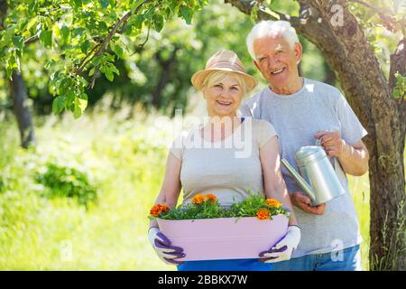 Sorridendo felice anziani anziani coppia giardinaggio Foto Stock