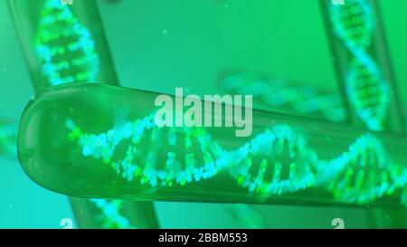 Molecola di DNA, la sua struttura. Concetto genoma umano. Molecola di DNA con geni modificati. Illustrazione concettuale di una molecola di dna all'interno di un test di vetro Foto Stock